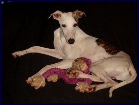 Sto Alberto Pillow Talk - Charlie